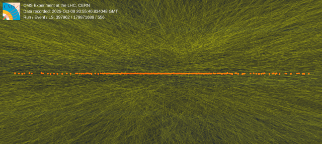 orange horizontal line of dots on background of hairlike green lines